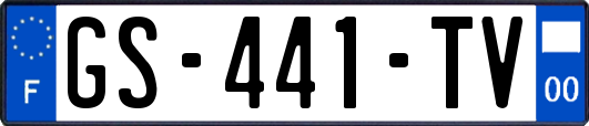 GS-441-TV