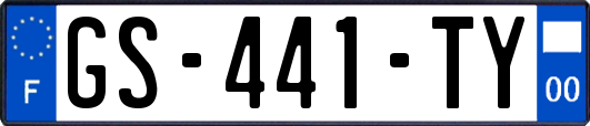 GS-441-TY