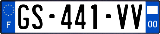 GS-441-VV