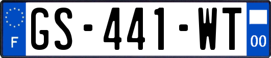 GS-441-WT