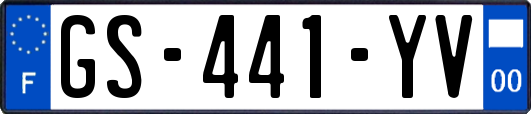 GS-441-YV