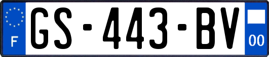 GS-443-BV