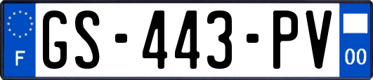 GS-443-PV
