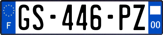 GS-446-PZ
