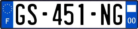 GS-451-NG