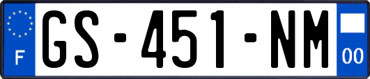 GS-451-NM