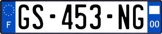 GS-453-NG