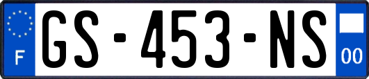 GS-453-NS