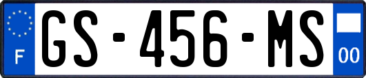GS-456-MS