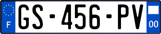 GS-456-PV