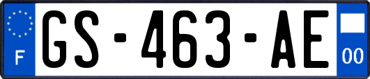 GS-463-AE