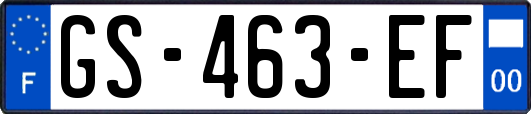 GS-463-EF