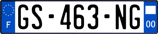 GS-463-NG