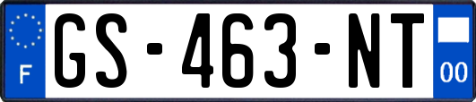 GS-463-NT