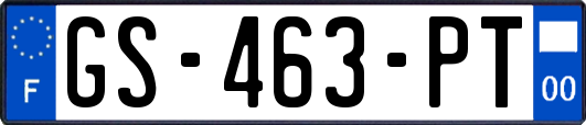 GS-463-PT