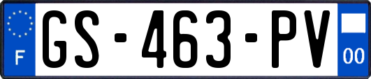 GS-463-PV