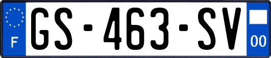 GS-463-SV