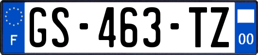 GS-463-TZ