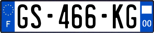 GS-466-KG