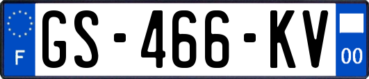 GS-466-KV