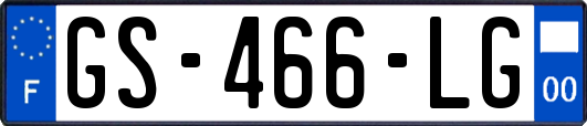GS-466-LG