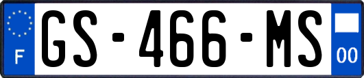 GS-466-MS
