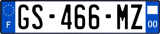 GS-466-MZ