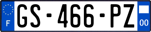 GS-466-PZ