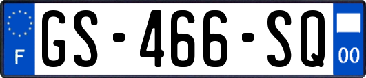 GS-466-SQ
