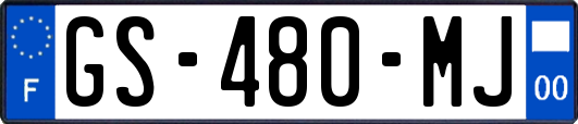 GS-480-MJ