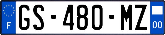 GS-480-MZ