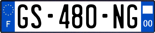 GS-480-NG