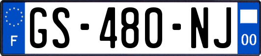 GS-480-NJ