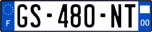 GS-480-NT