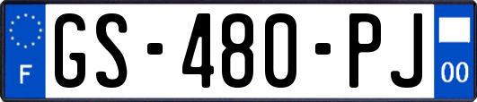 GS-480-PJ