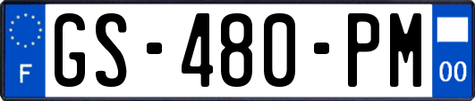 GS-480-PM