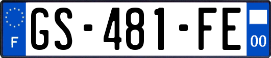 GS-481-FE