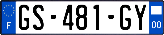 GS-481-GY