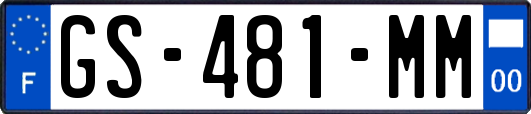 GS-481-MM