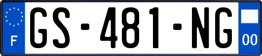 GS-481-NG