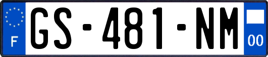 GS-481-NM