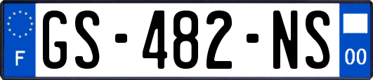 GS-482-NS