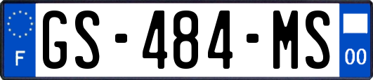 GS-484-MS