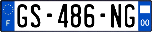 GS-486-NG