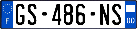 GS-486-NS