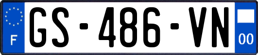 GS-486-VN