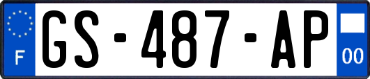 GS-487-AP