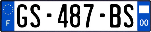 GS-487-BS