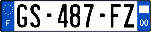 GS-487-FZ