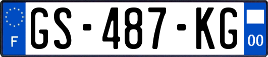 GS-487-KG